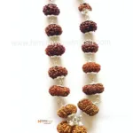 1 - 14 Mukhi Rudraksha Mala (Nepal Origin- Collector Beads)