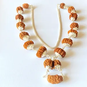 1 - 13 Mukhi Shiv Shakti Rudraksha Mala (Nepal Origin -25.00 mm)