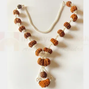 1-15 Mukhi Indra Rudraksha Mala (Nepal Origin- Collector Beads)