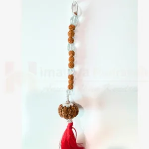 10 Mukhi Hanging For (Vastu Nivarak & Protection)