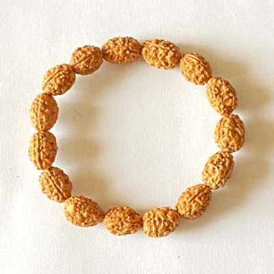 3-mukhi-rudraksha-bracelet-297176