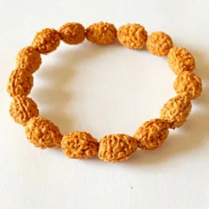 3 Mukhi Rudraksha Bracelet