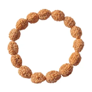 4 Mukhi Rudraksha Bracelet