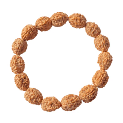 4-mukhi-rudraksha-bracelet-778635