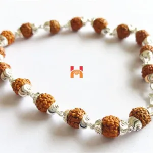 5 Face Rudraksha Bracelet In Silver (small beads)