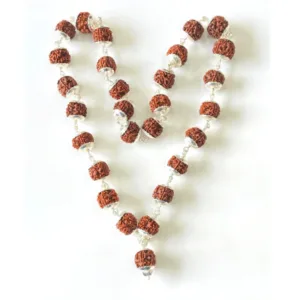 5 Mukhi/Face Rudraksha Kantha In Silver