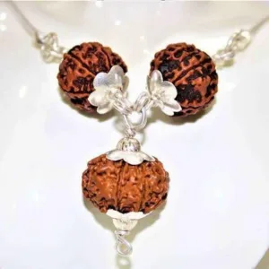 7,8 & 12 Mukhi Rudraksha Combination For (Founders & Businessmen)