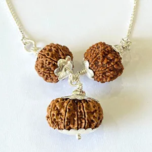 7,8 & 14 Mukhi Rudraksha Combination For (Brokers & Indsutrialists)