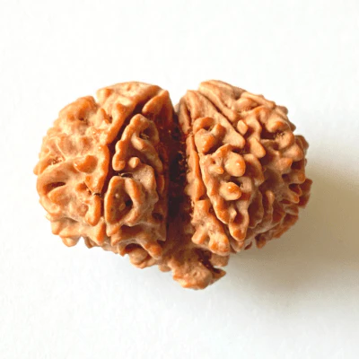 antique-gauri-ganesh-shankar-rudraksha-nepali-origin-509282
