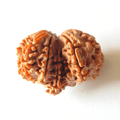 antique-gauri-ganesh-shankar-rudraksha-nepali-origin-953536