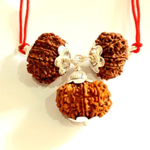 Evil Protection Rudraksha Kawach