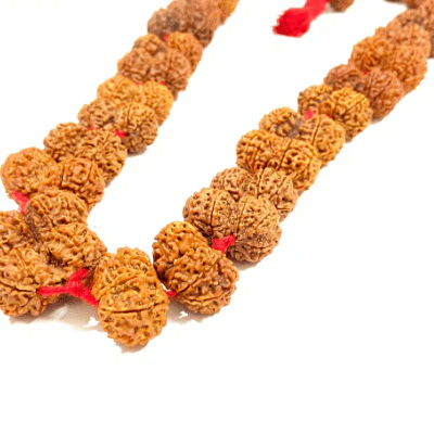 gaurishankar-rudraksha-kantha-nepal-origin-103982
