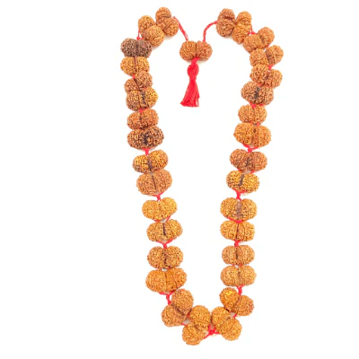 gaurishankar-rudraksha-kantha-nepal-origin-285554