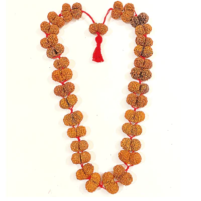 gaurishankar-rudraksha-kantha-nepal-origin-317127