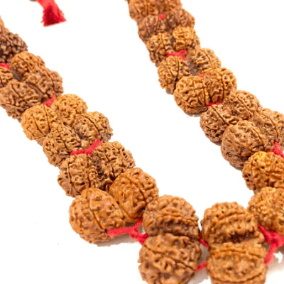 gaurishankar-rudraksha-kantha-nepal-origin-690649