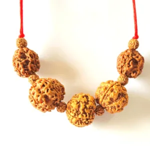 Health Rudraksha Kawach
