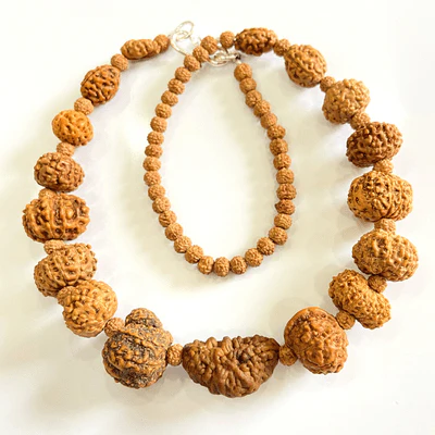 indonesian-1-14-mukhi-rudraksha-bracelet-148344