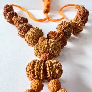 1 - 13 Mukhi Shiv Shakti Rudraksha Mala (Nepal Origin -20.00 mm)