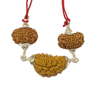 Narayan Rudraksha Kawach