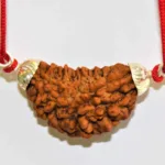 Natural 1 Face/Mukhi Rudraksha