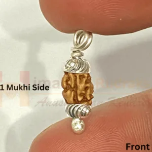 Natural 1 Mukhi Java Rudraksha