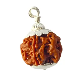Natural 1 Mukhi Rudraksha (Nepal Origin)