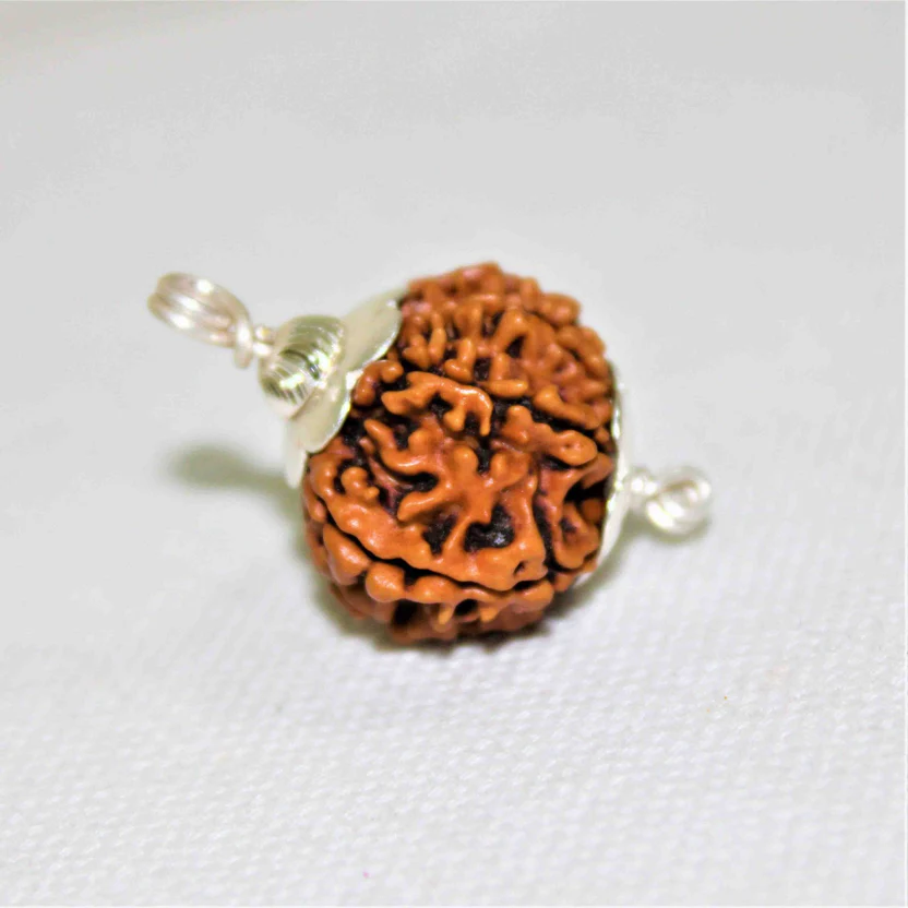 natural-10-mukhiface-rudraksha-nepal-origin-695249