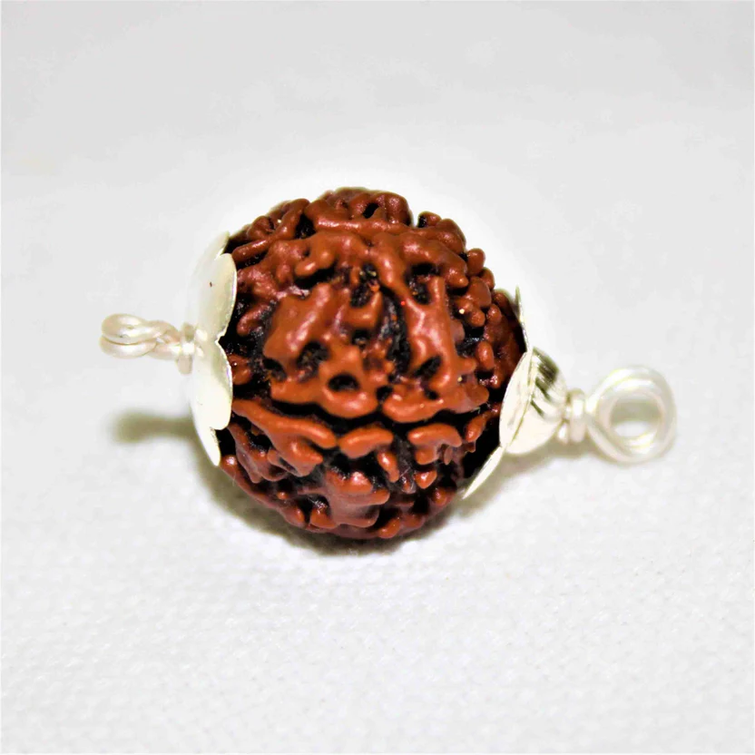 natural-5-mukhiface-rudraksha-nepal-origin-236314