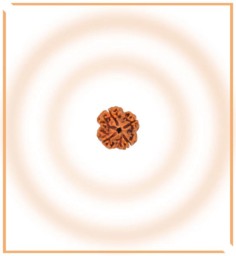 natural-5-mukhiface-rudraksha-nepal-origin-803408