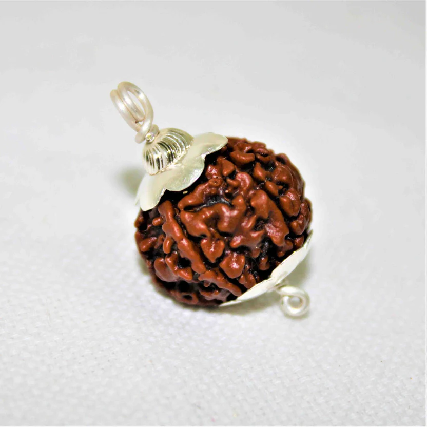 natural-5-mukhiface-rudraksha-nepal-origin-907203