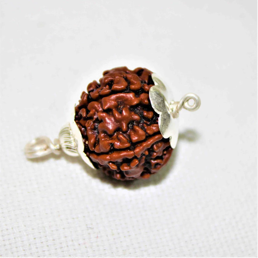 natural-5-mukhiface-rudraksha-nepal-origin-926794