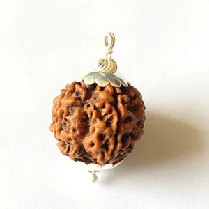 Natural 7 Mukhi Rudraksha (Nepal Origin- 19.00 mm)