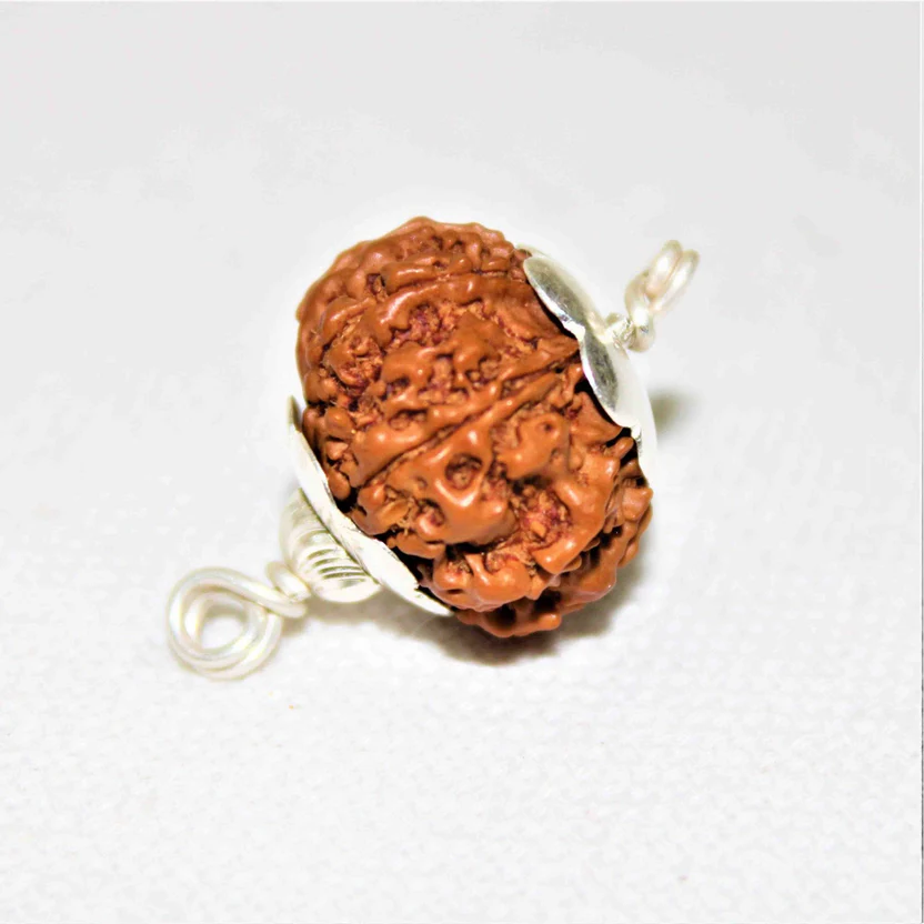 natural-8-mukhiface-rudraksha-nepal-origin-119632