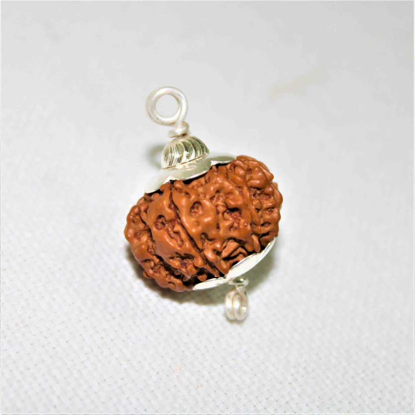 natural-8-mukhiface-rudraksha-nepal-origin-883010