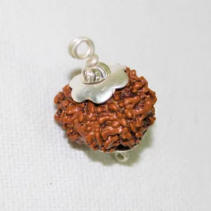 Natural 9 Mukhi Rudraksha (Nepal Origin- Super Collector Size)