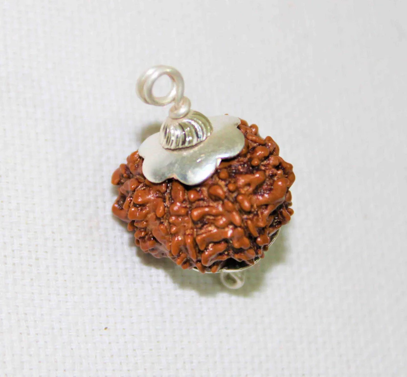 natural-9-mukhi-rudraksha-nepal-origin-super-collector-size-685201