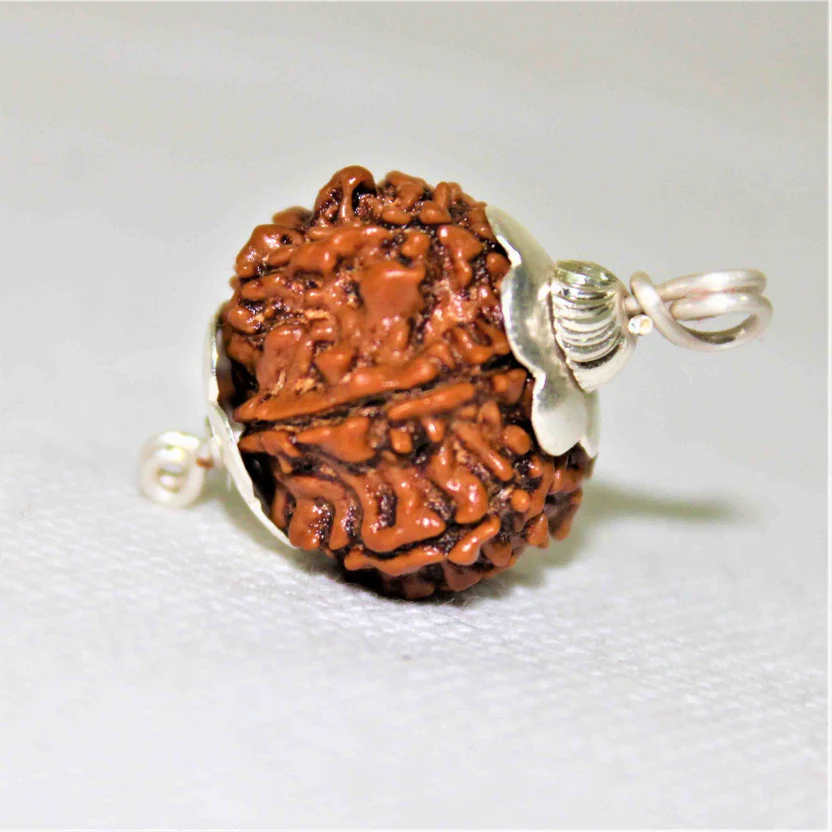 natural-9-mukhi-rudraksha-nepal-origin-super-collector-size-972656
