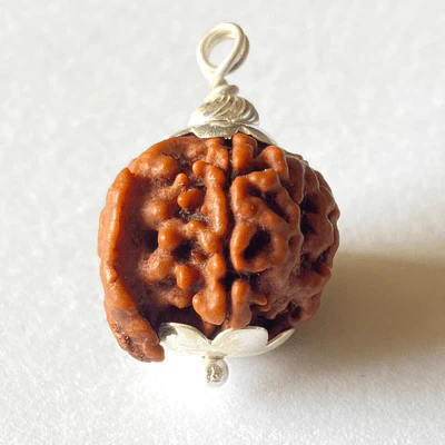 natural-ganesh-mukhi-rudraksha-241802