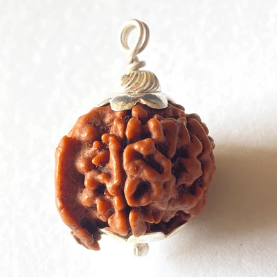 natural-ganesh-mukhi-rudraksha-486810