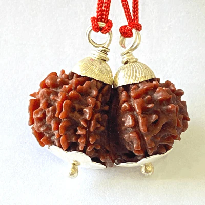 natural-gaurishankar-rudraksha-nepal-origin-collector-size-210951