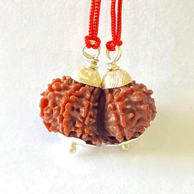 natural-gaurishankar-rudraksha-nepal-origin-collector-size-230788
