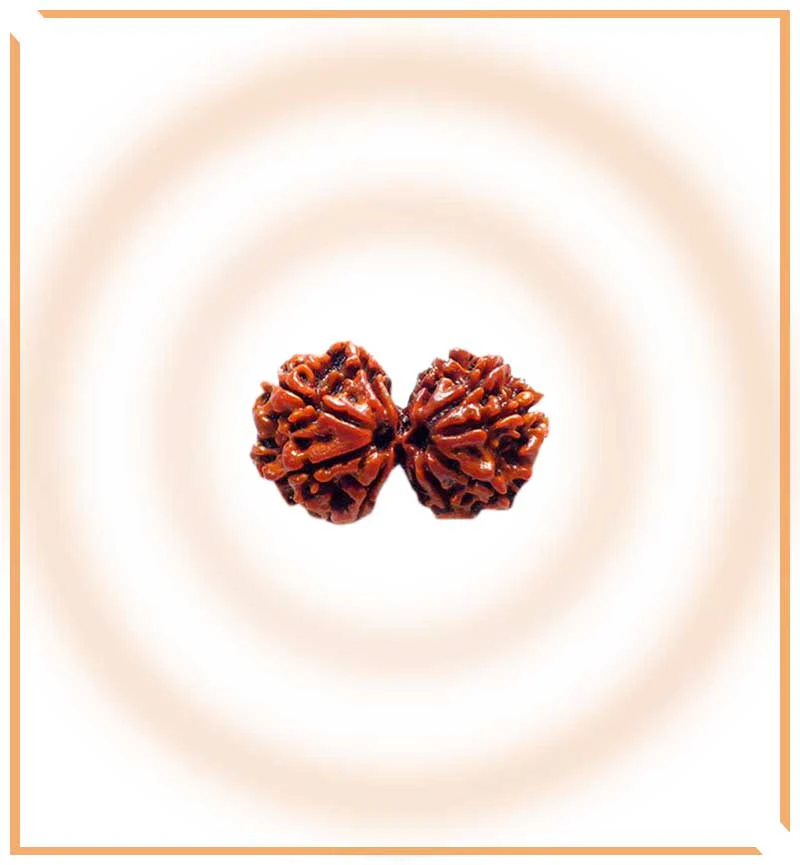 natural-gaurishankar-rudraksha-nepal-origin-collector-size-520157